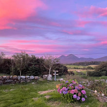 Load image into Gallery viewer, Butter Dish - Feasgar