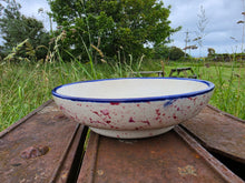 Load image into Gallery viewer, Pasta Dish - Rosie Thistle
